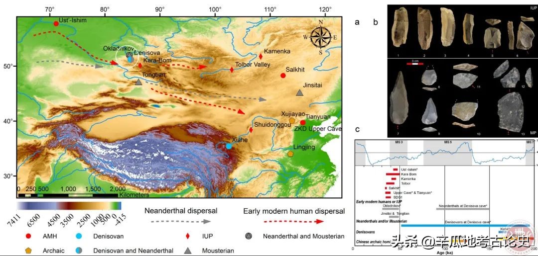 李锋的所有视频,李锋百科简介