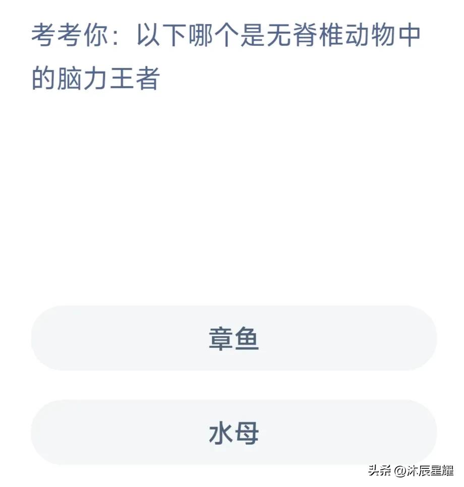 支付宝蚂蚁森林今天答题答案,支付宝解除限制安全答题答案