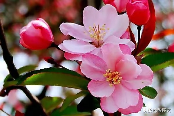 财税实务问题解答9则（2022年3月18日）