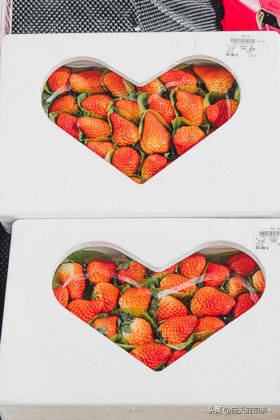 南京年味,南京的年味越来越浓了