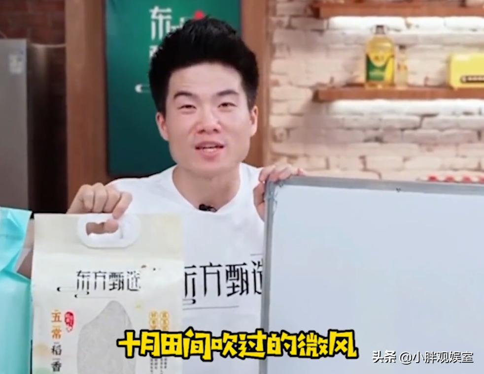 新东方老师董宇辉为什么走红,新东方董宇辉带货走红