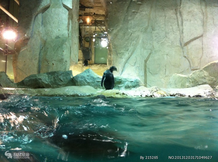 大连旅游自由行攻略四日游路线,大连旅游详细攻略一日游最佳路线