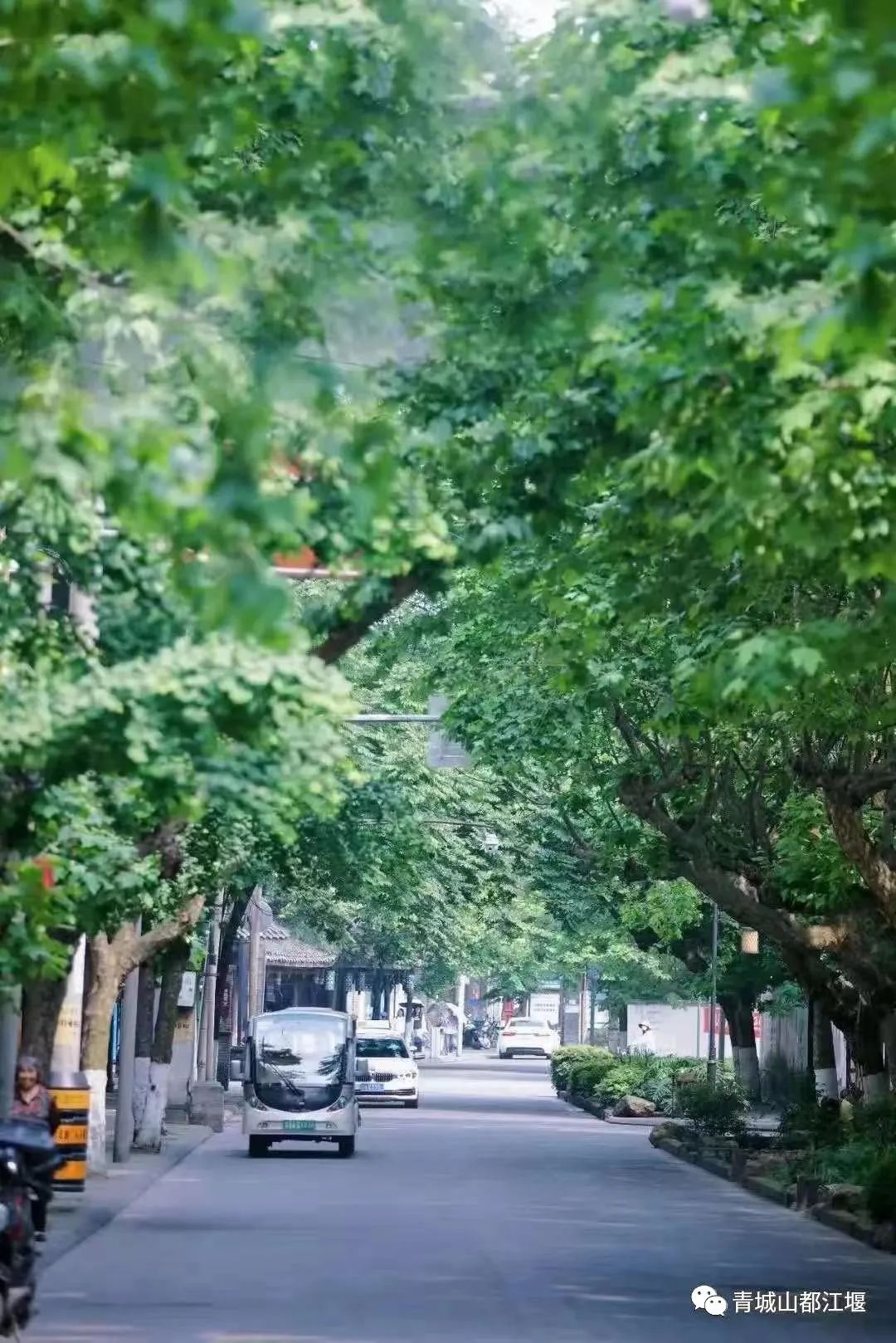 五一都江堰耍水一日游攻略,五一都江堰旅游攻略