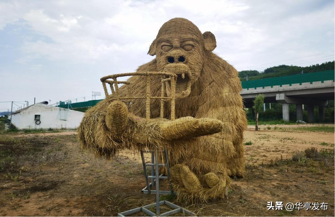 安口镇朱家坡村,华亭县安口镇朱家坡村