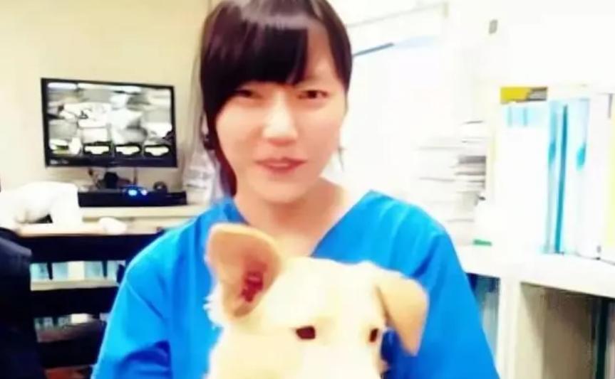 台湾女子给狗狗安乐死,16年的狗安乐死