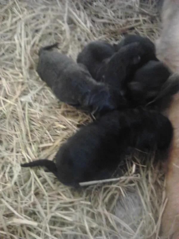 世上只有妈妈好爸爸也不错,世上只有妈妈好爸爸不好吗