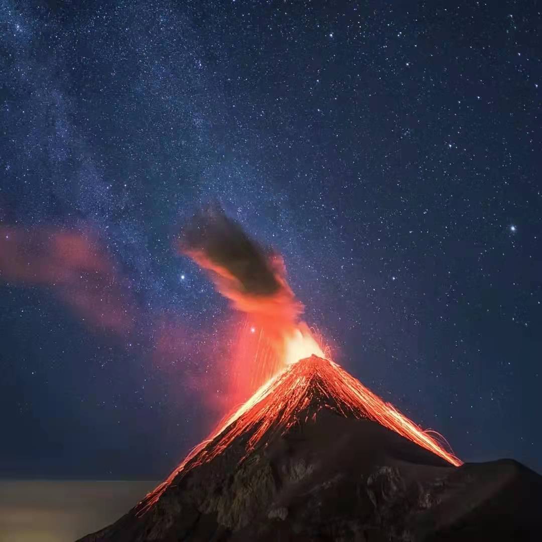 期货割韭菜的正确方法,期货庄家如何割韭菜