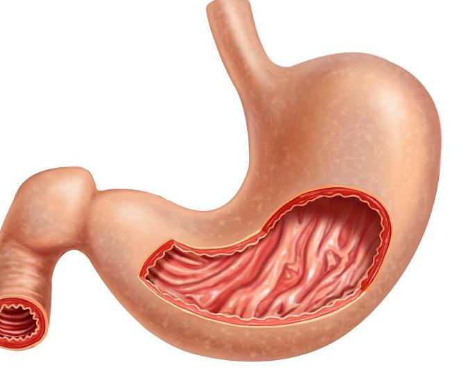日本胃癌患病率为什么那么高,中国和西方国家患癌比例