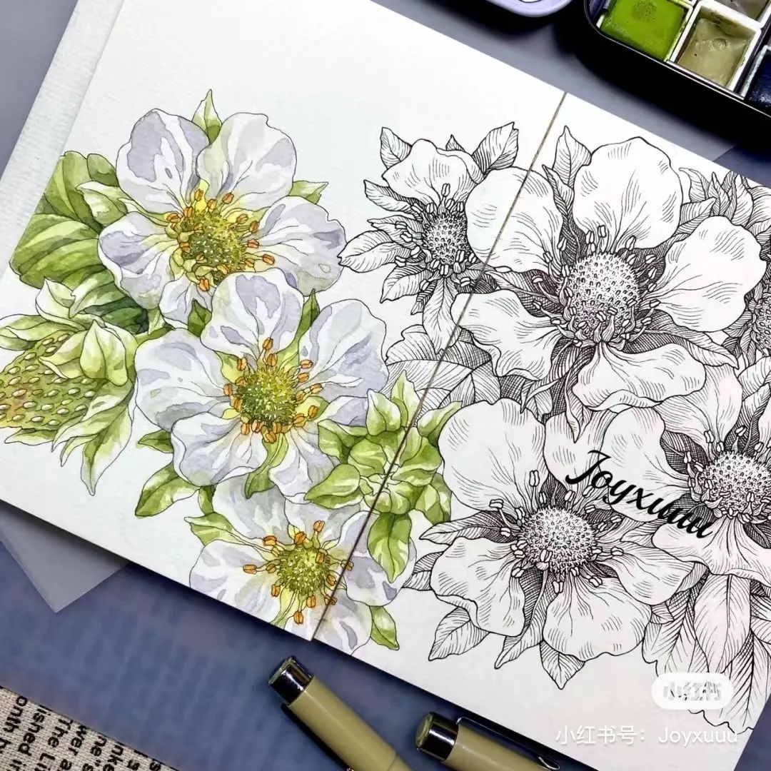 多种技法运用色彩装饰画,一幅有疏密变化的线描装饰画简单