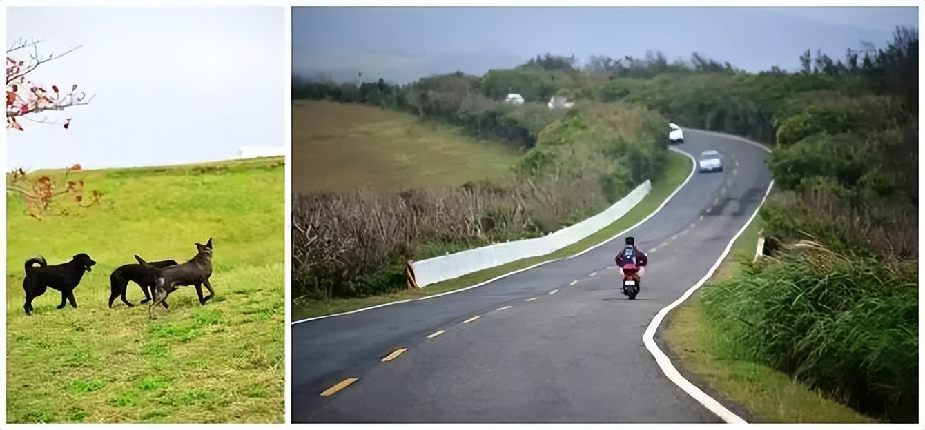 我的旅游日记2015游台湾之四,台湾人旅游祖国大好河山