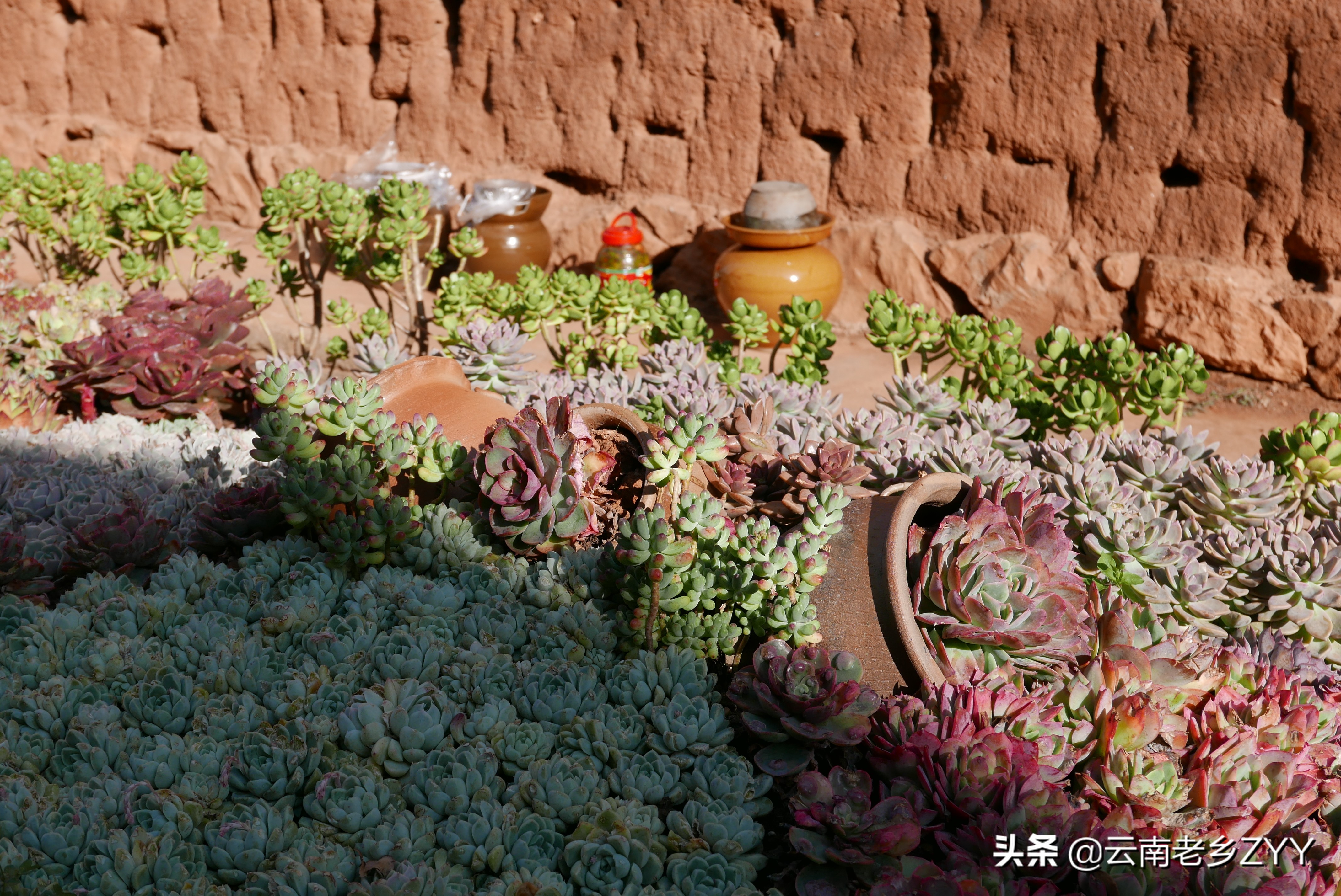 晋宁福安村，一个100多年历史的老村