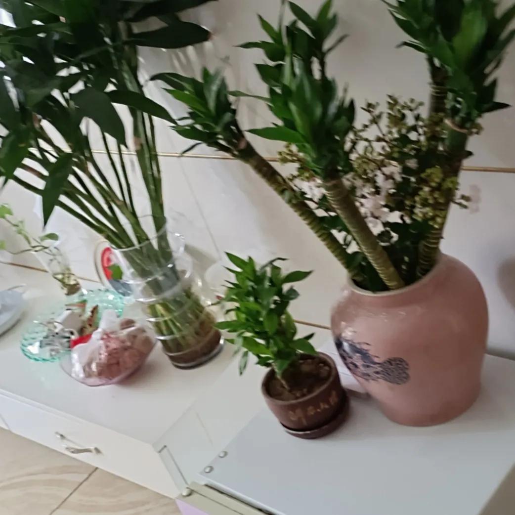 车姐你好，那个项链找到了，实在对不起。让你生气了