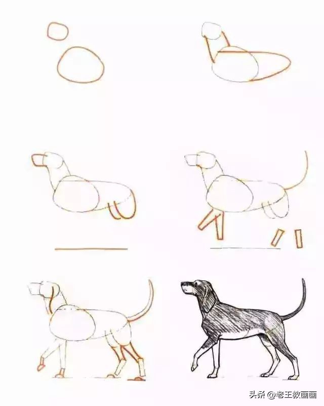 简单易学的简笔画学起来教孩子吧,二分钟教会孩子简笔画赶紧学起来