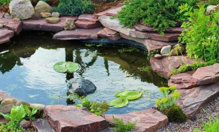 家里有三象预示什么,俗语家中有三象