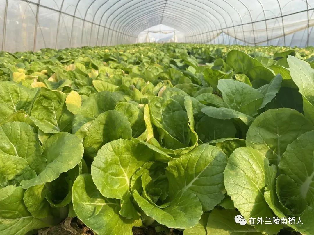 致敬每一位打拼的潮汕人,致敬每一位在外打拼漂泊的游子