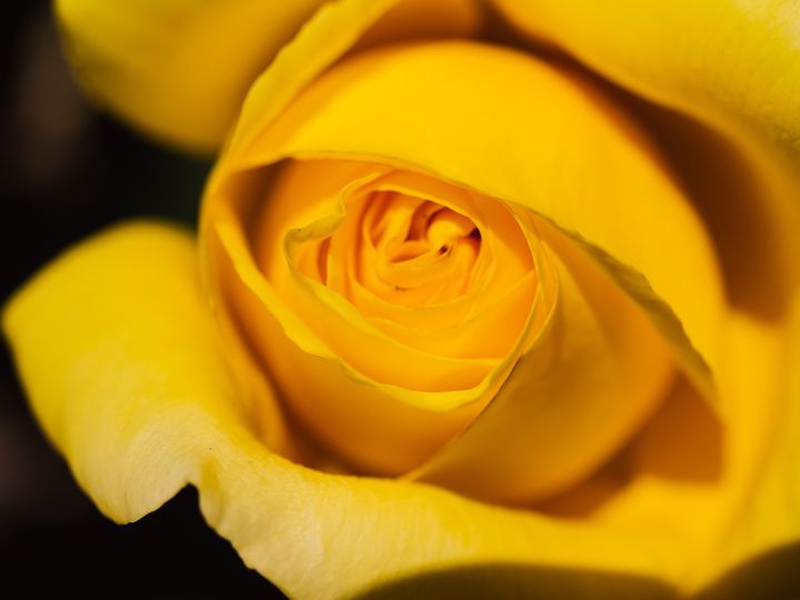 描写春天梅花的优美句子摘抄,描写校园春天早晨的优美句子