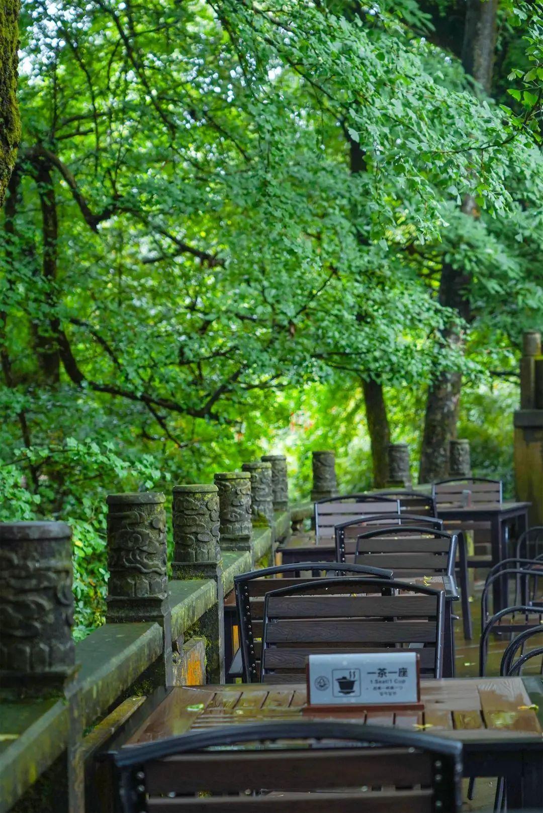 雅安名山景区怎样,雅安名山必去的三个地方