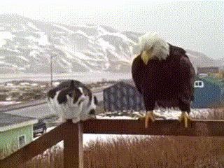 搞笑趣图:父亲是不是都比儿子聪明，爱迪生的爸爸怎么没发明灯泡