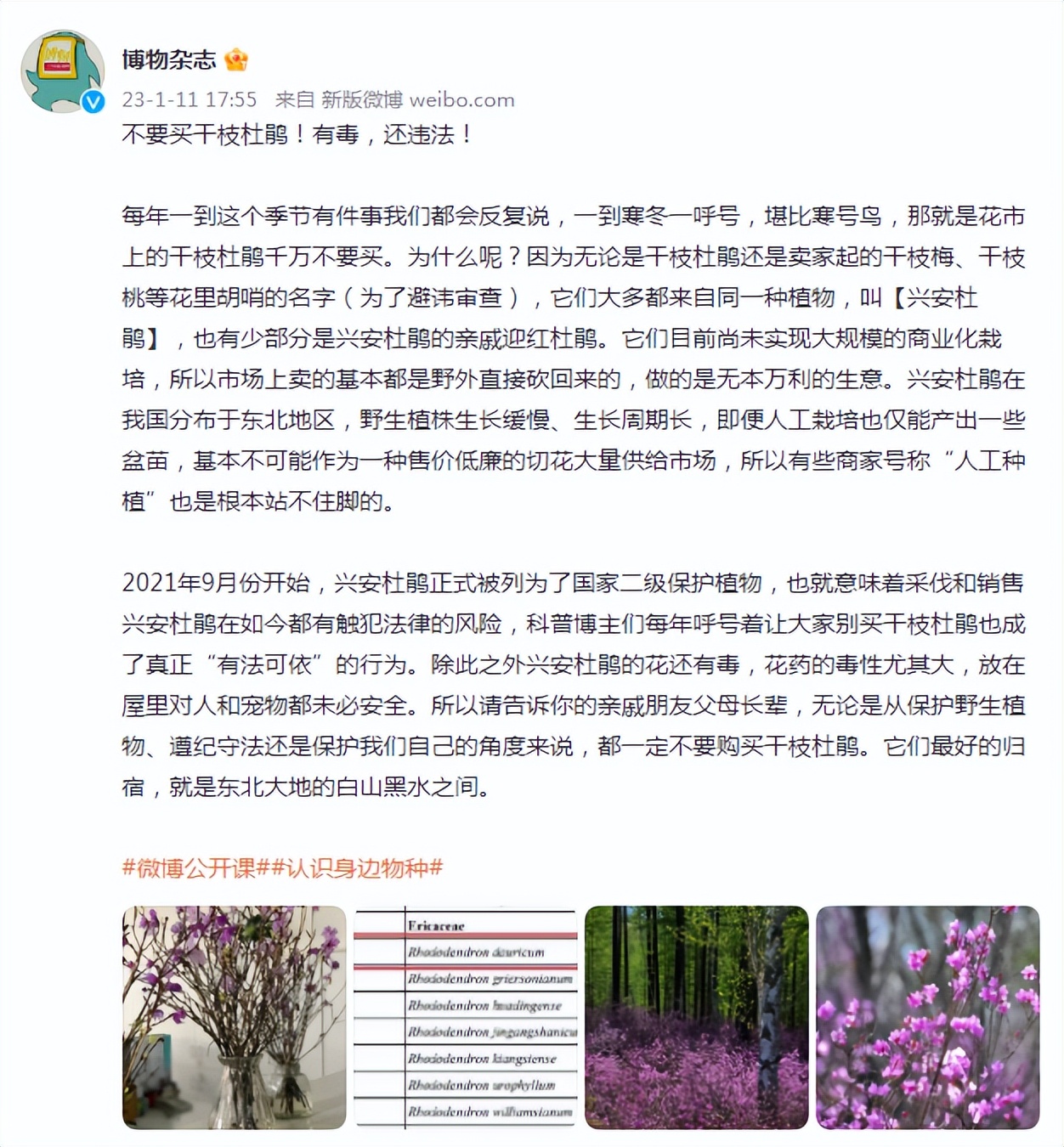 权威解读谣言粉碎机,谣言粉碎机