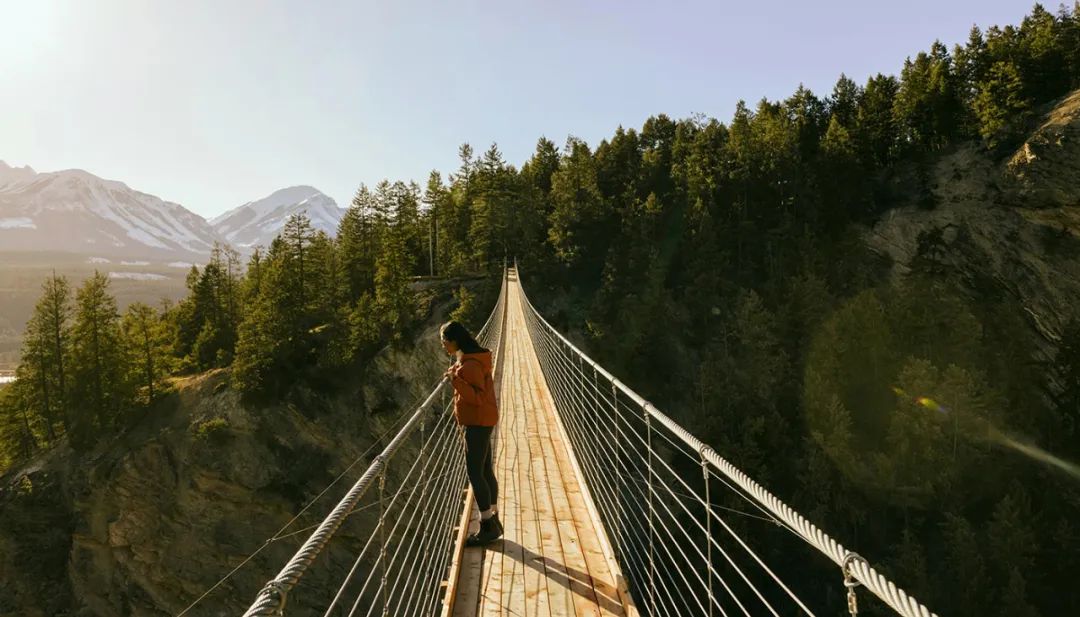 中国最美的十座斜拉式吊桥,加拿大温哥华著名的桥