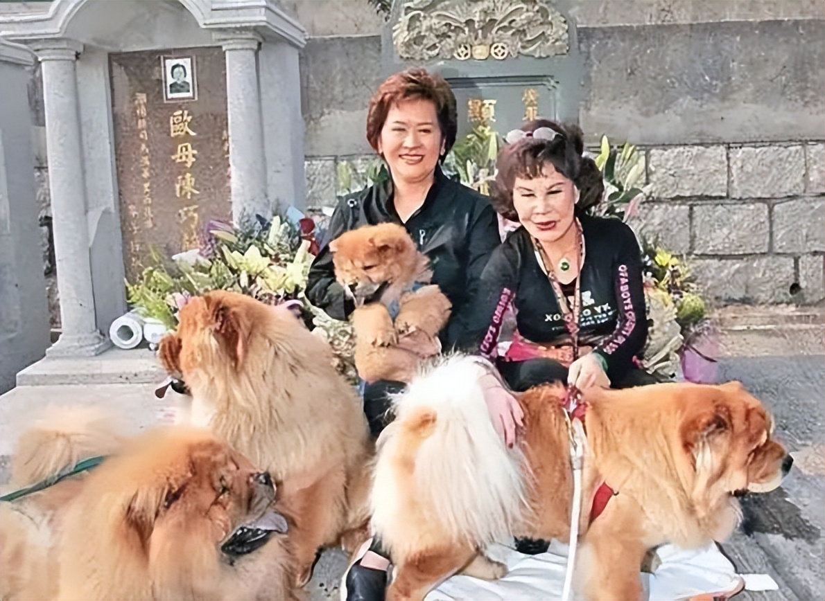 三女共侍一夫，每周只休息一天？娱圈“败家子”的瓜！