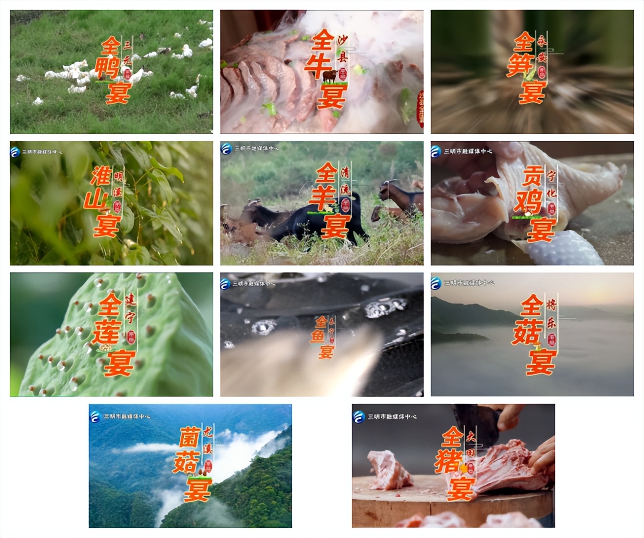 青山绿水是无价之宝|25年实践案例之⑱：中国绿都·全宴三明