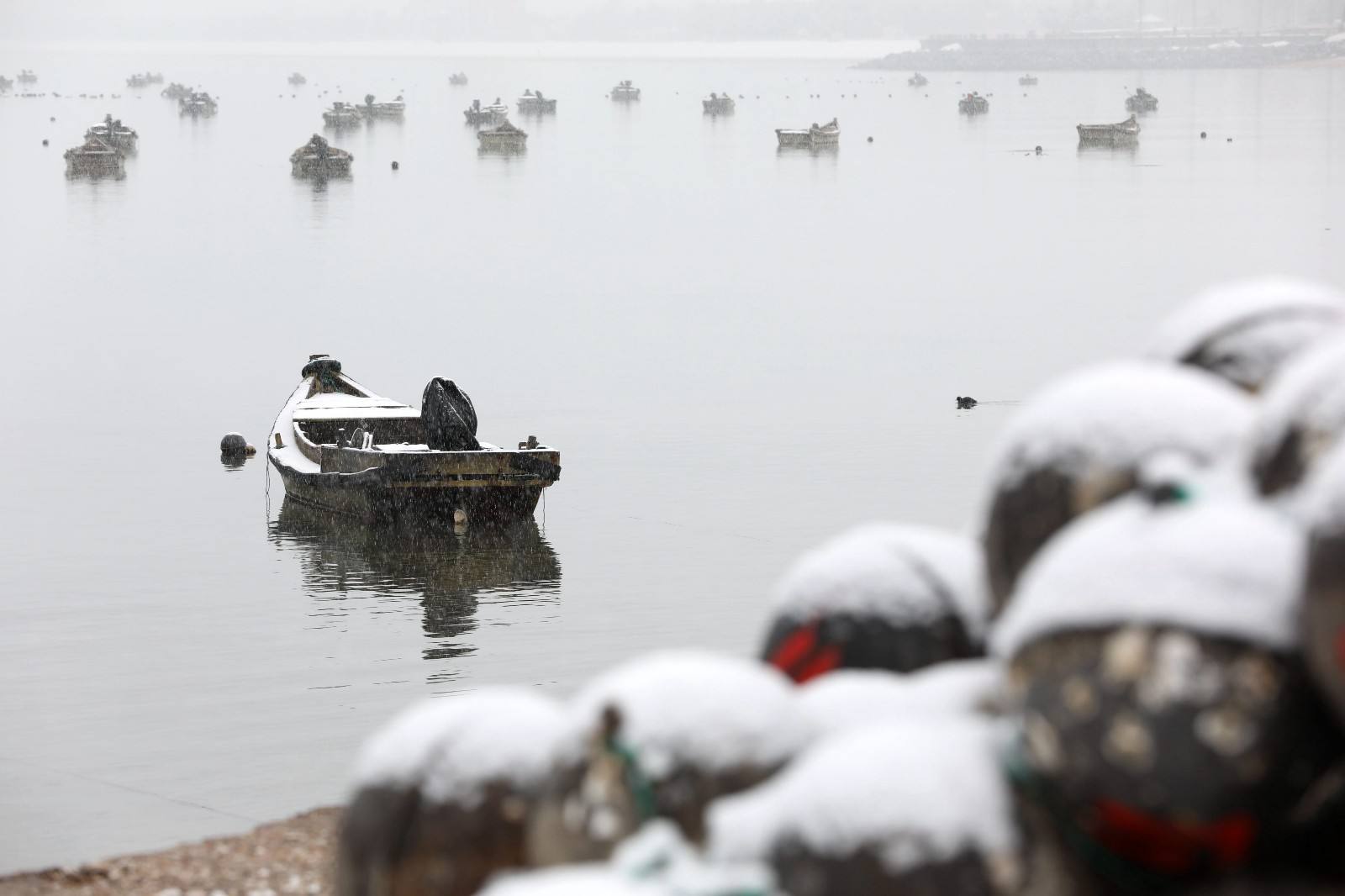 雪夜品禅诗八首,壶中无酒人半醉……