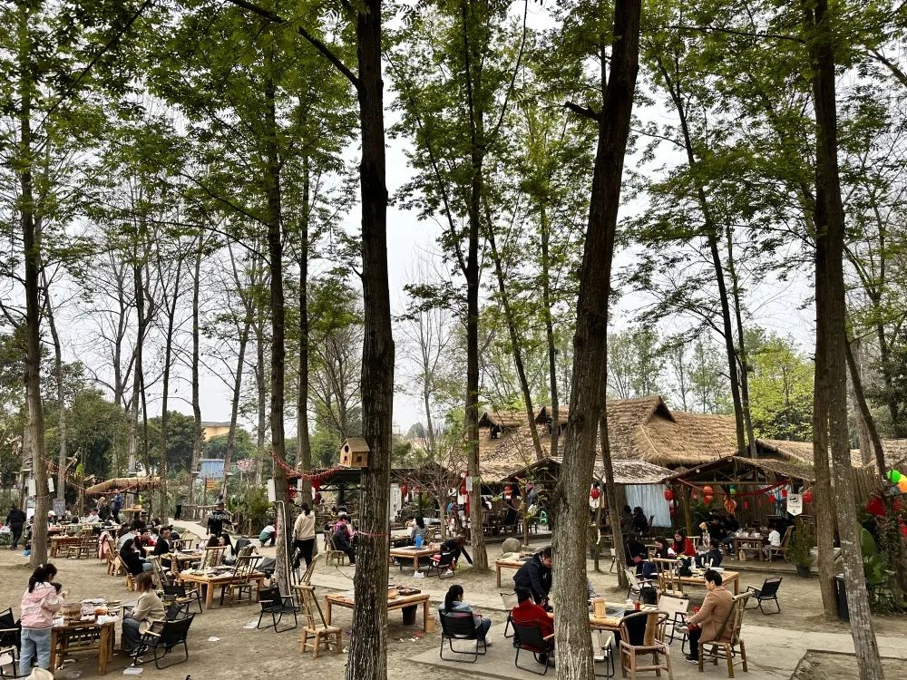 返乡创业！85后女创客盘活乡村资源，打造“量身定制”网红店