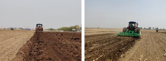 保护东北黑土的建议,保护黑土地端好中国饭碗