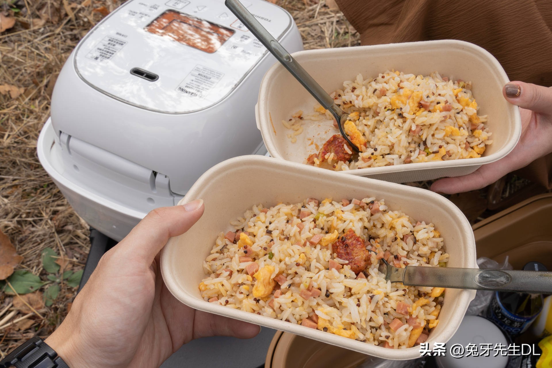 东芝电饭煲rc-10,东芝RC-10LTC电饭煲