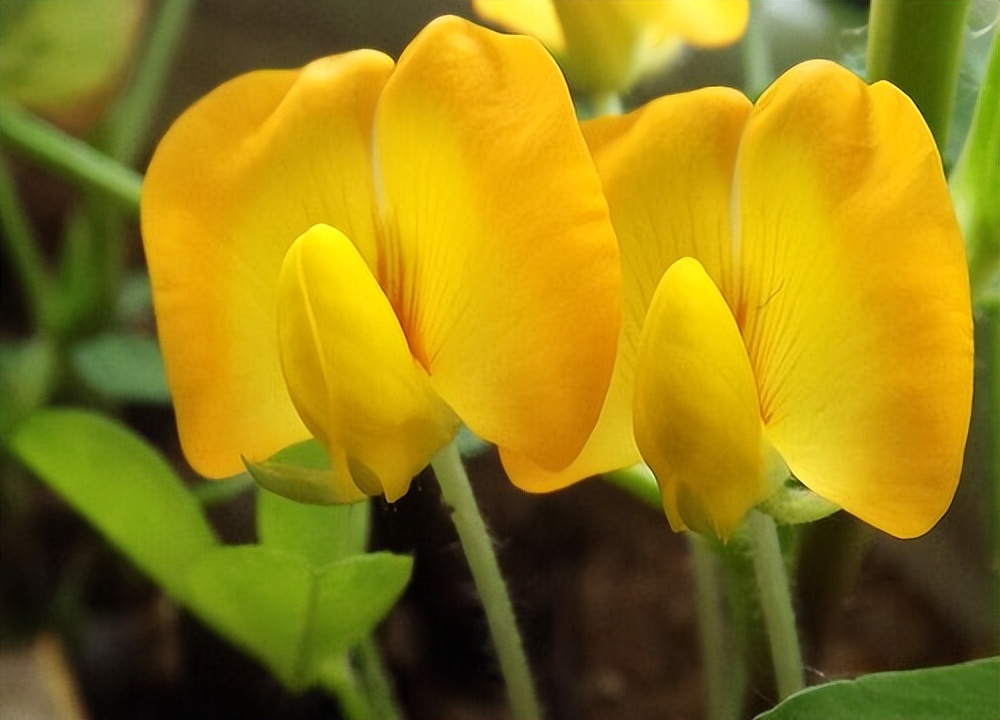 情劫是命运安排还是自己造成的,情劫彻底放下财运才会来到