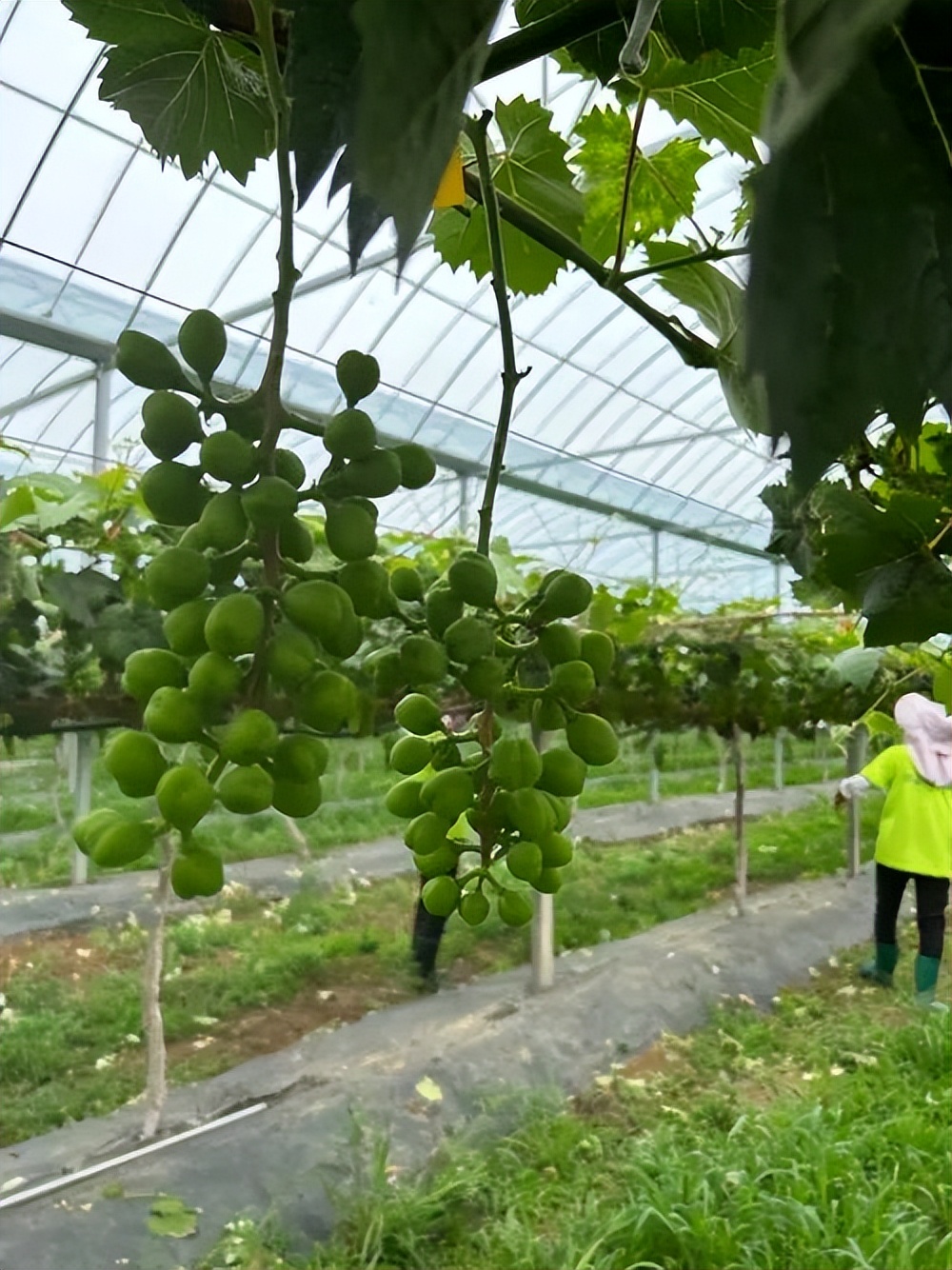 助推科技成果转化,助力科研技术发展