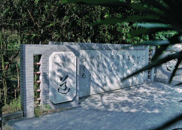 佛山广州两天两夜游玩攻略,佛山去南海湾森林公园