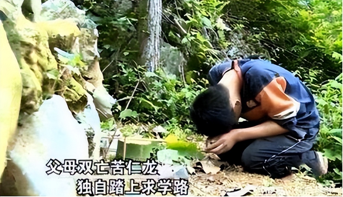 13岁孤儿独自生活,孤儿韦仁龙707分考上北大