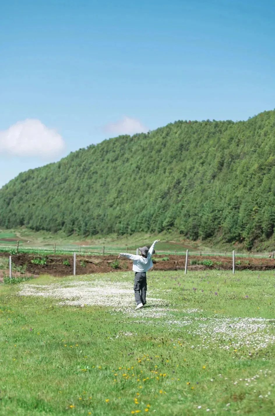 丽江旅行结束出发香格里拉,丽江自驾露营免费景点推荐