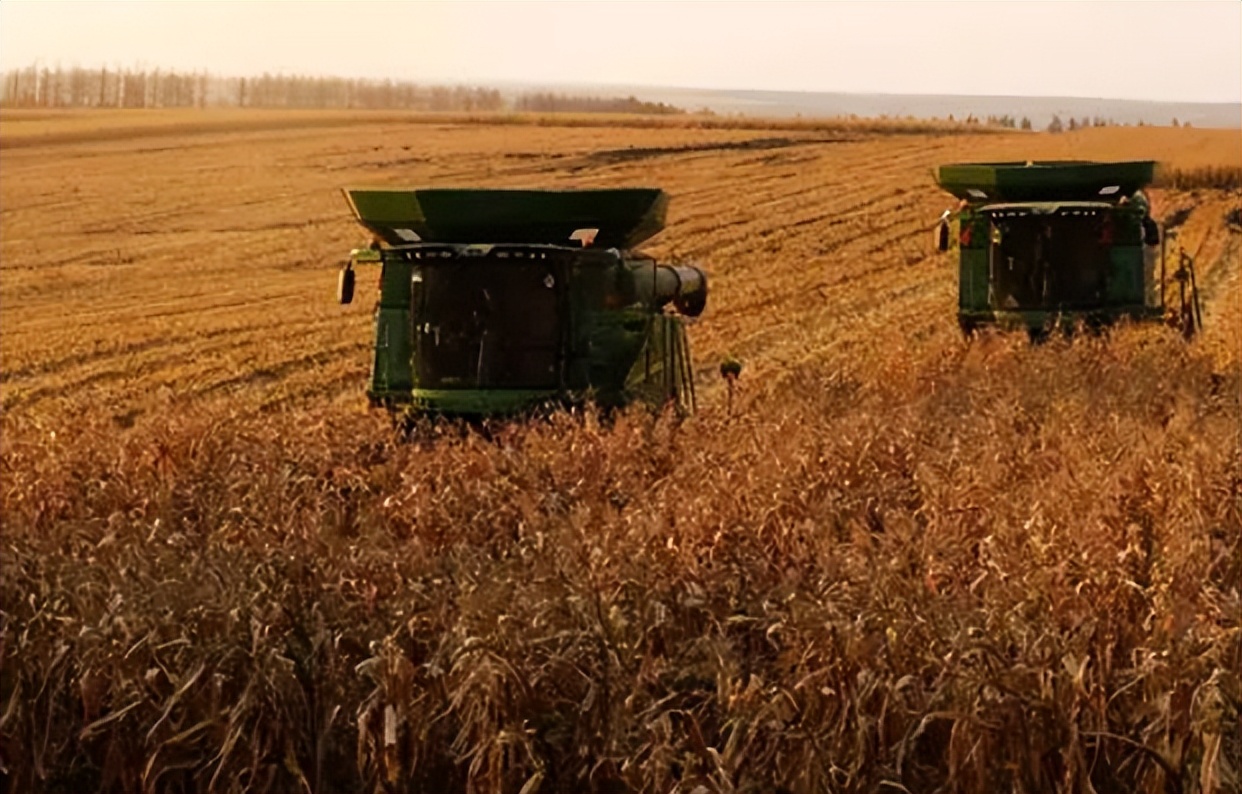 北大荒为什么要退耕还荒,北大荒退耕是什么时候