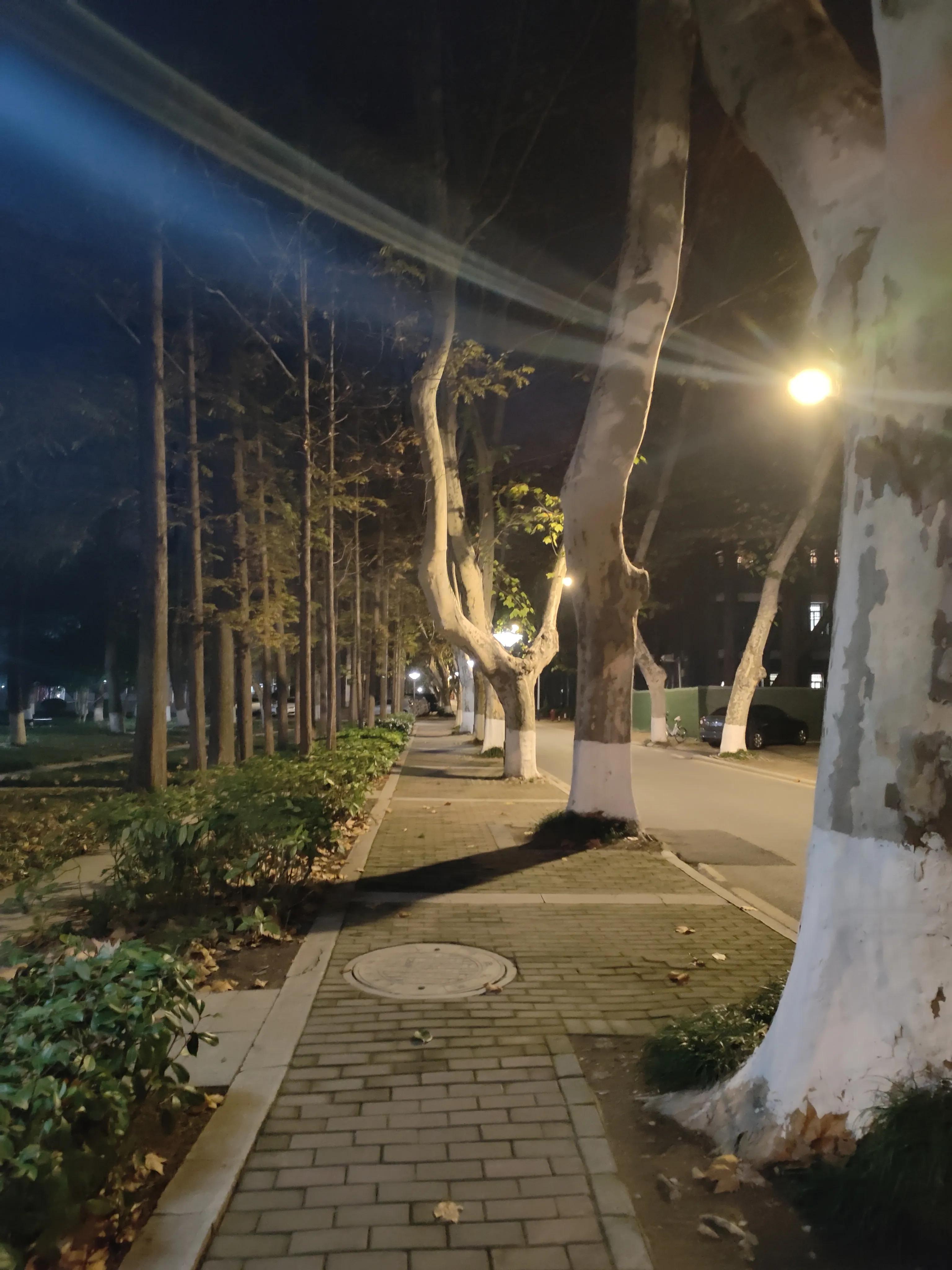 南京理工大学怎么看文献,南京理工大学专业怎么样