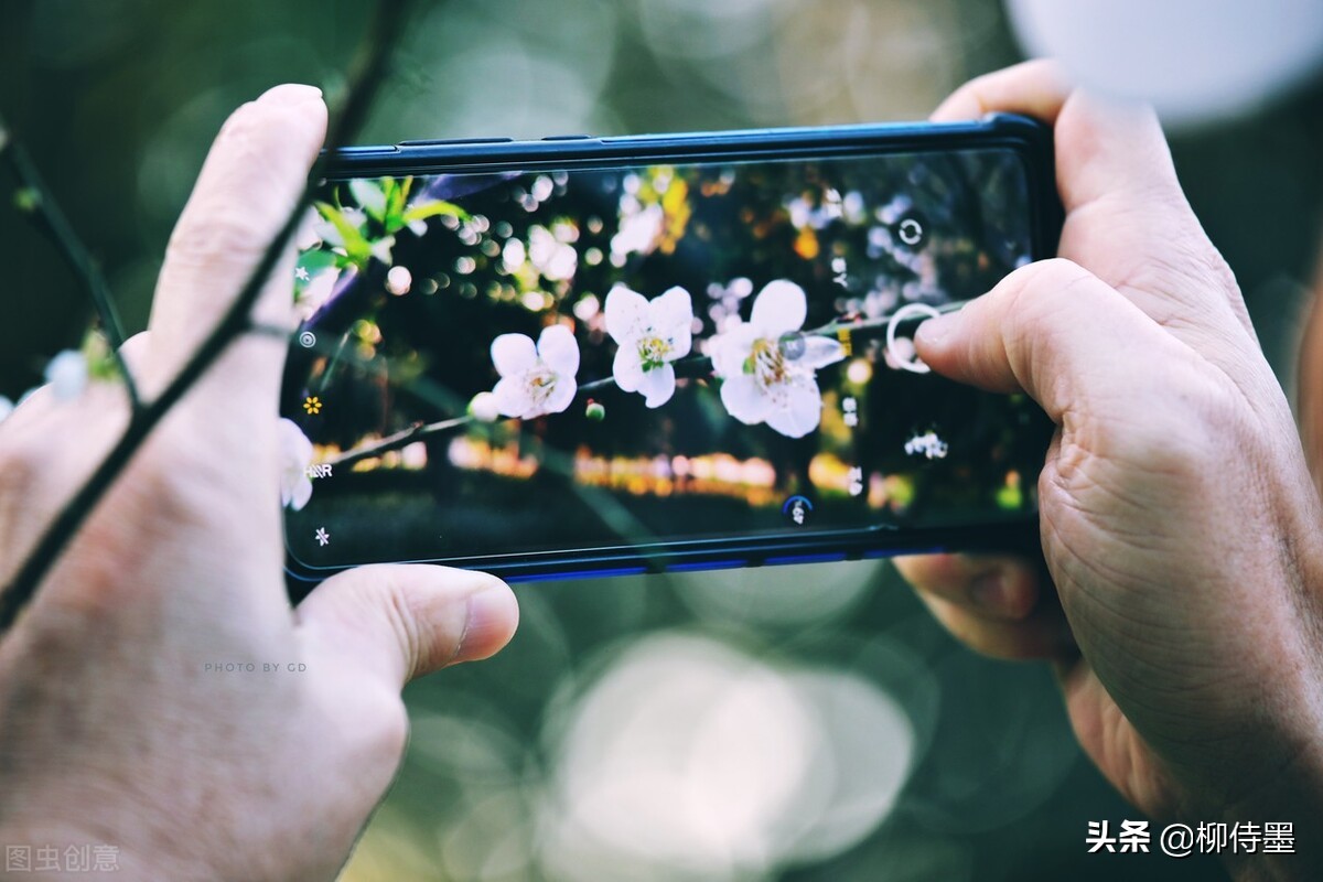 拍摄梅花多重曝光的技巧,拍摄梅花用什么镜头最好