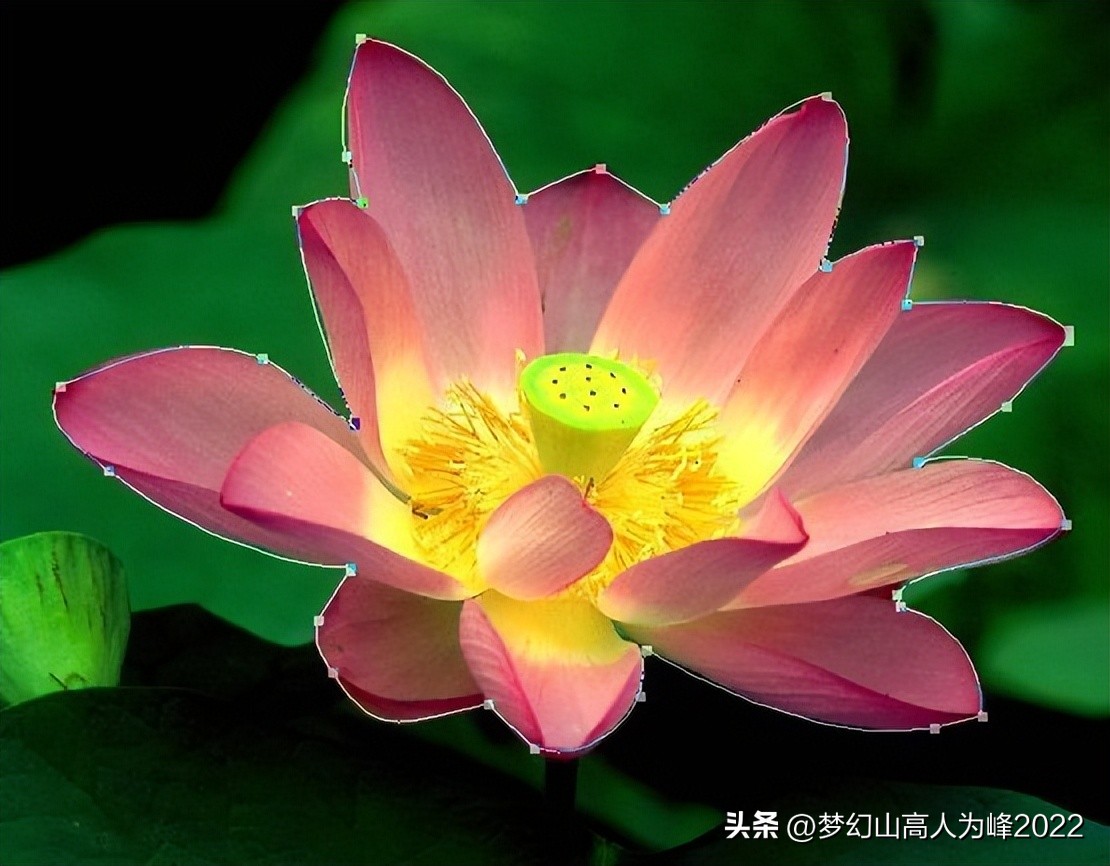 photoshop学习：一个PS进阶的教程——对新手老手都有帮助