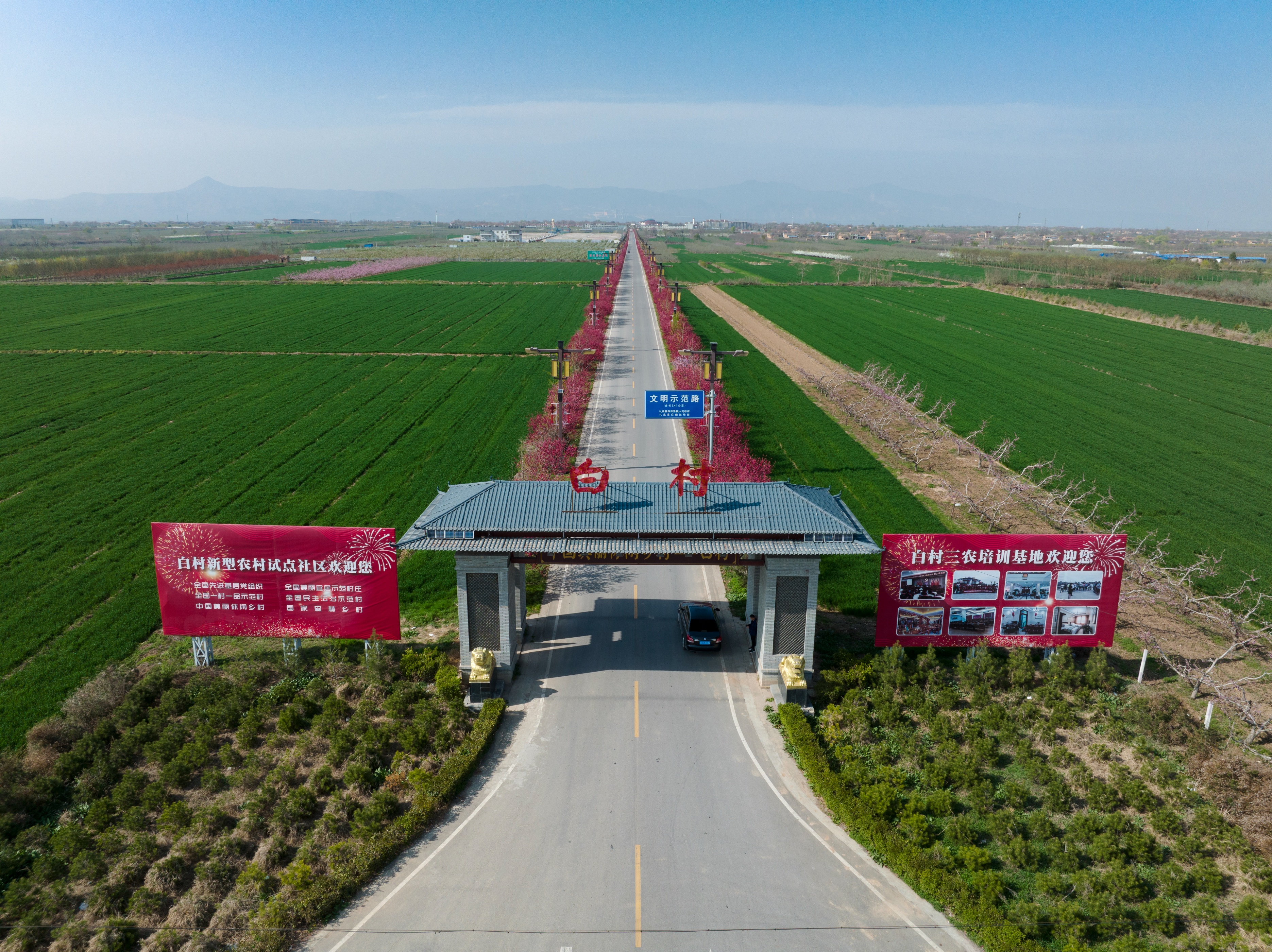 礼泉县：狠抓农业项目建设助推乡村产业发展