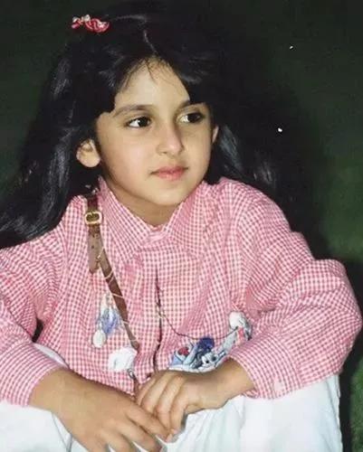 迪拜王子哈曼丹和哥哥拉希德,迪拜王子哈曼丹写的诗