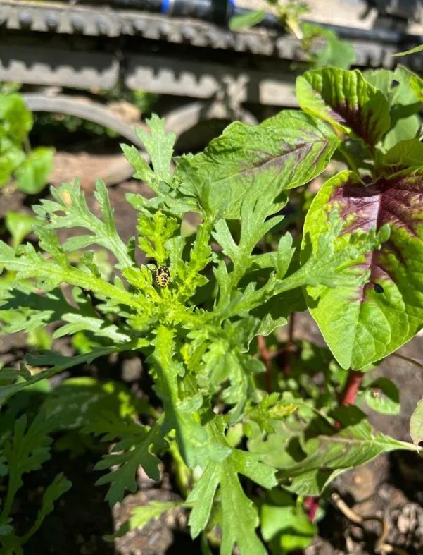 食物故事纪录片,食物故事大全完整版