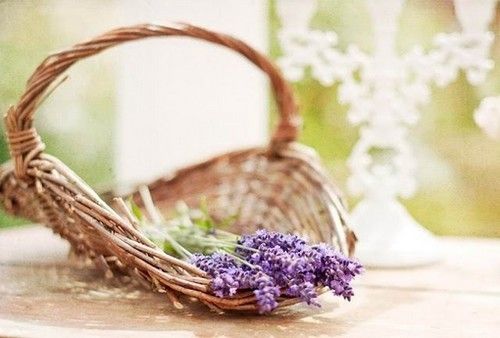 重逢初恋和红颜知己,多年后重逢初恋该怎么相处