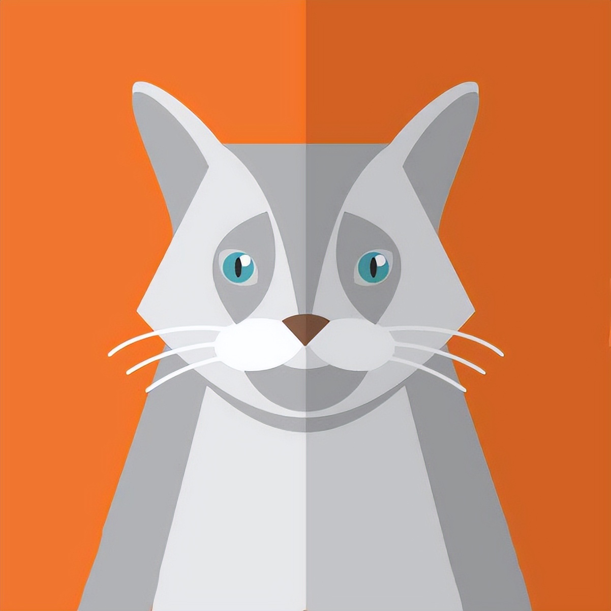 关于幼升小你不知道的9个秘密,2021年中山市幼升小政策