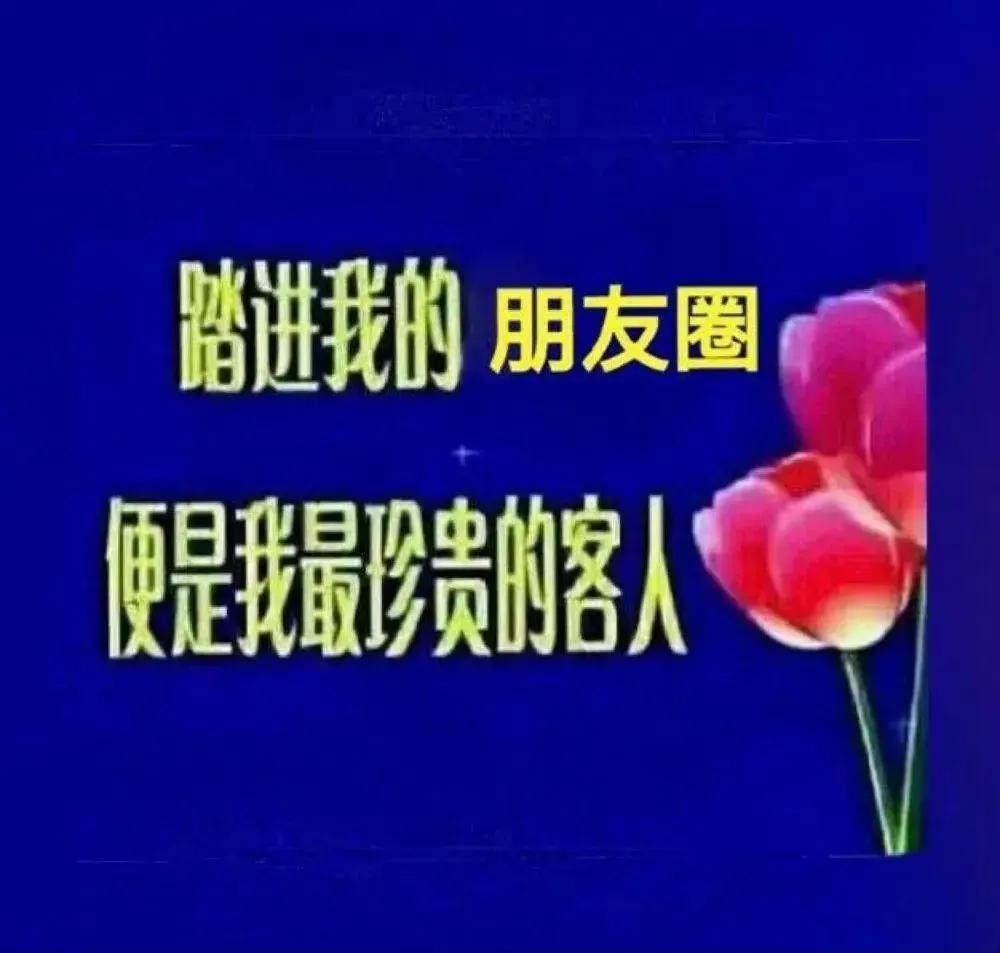 背景图优雅生活,生活随意的背景图高级感