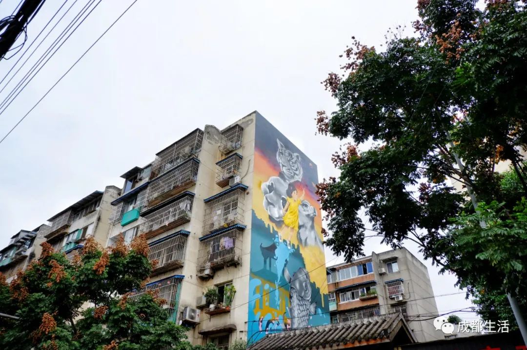 成都有特色的老街,成都最酷的老街