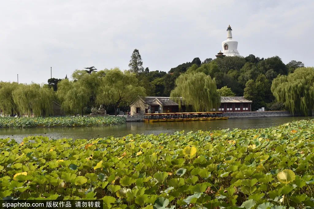 北京十大古典园林,来北京必逛皇家园林