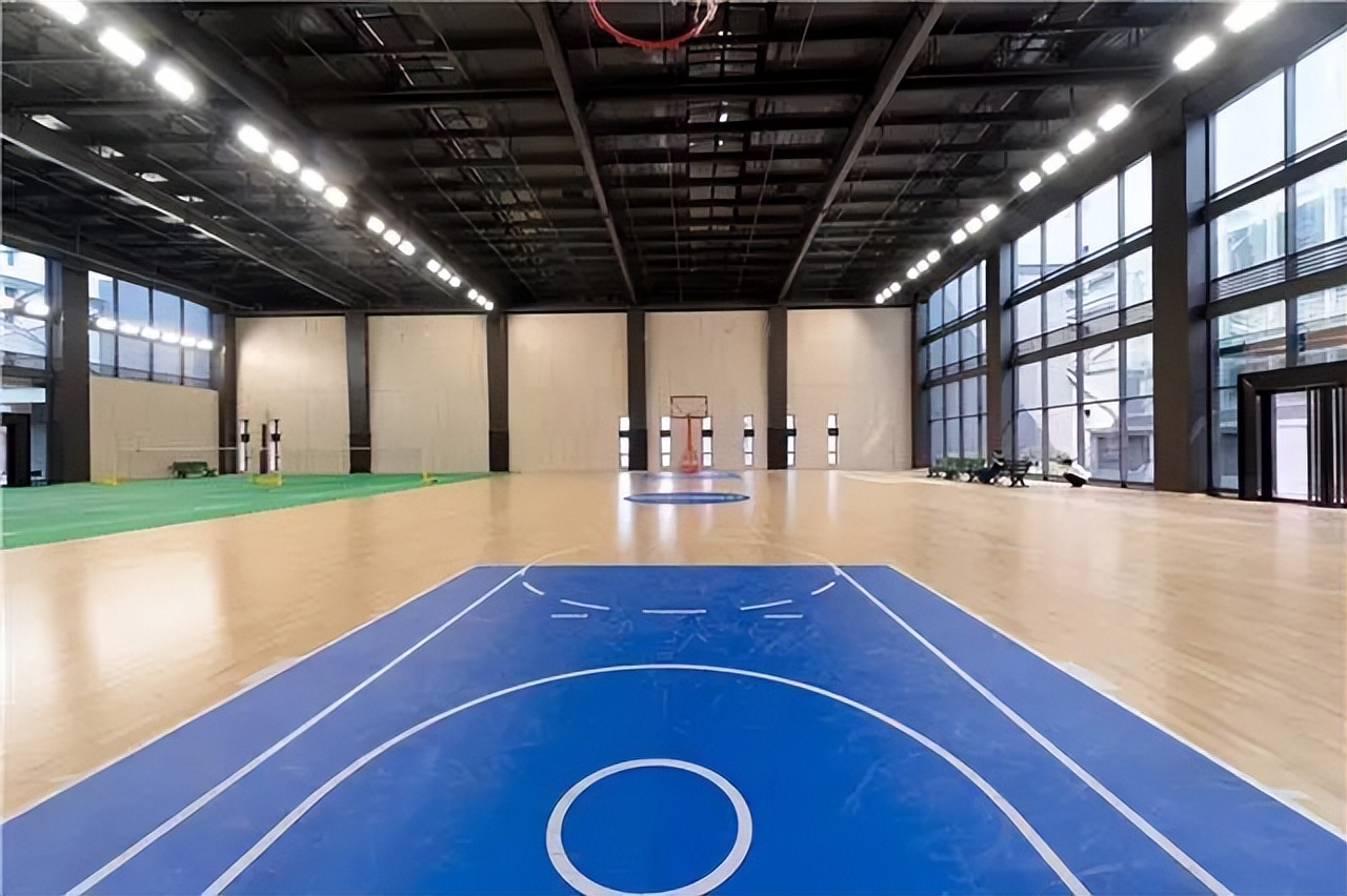 迈克生物发展前景与投资价值,迈克生物在行业中地位及潜力