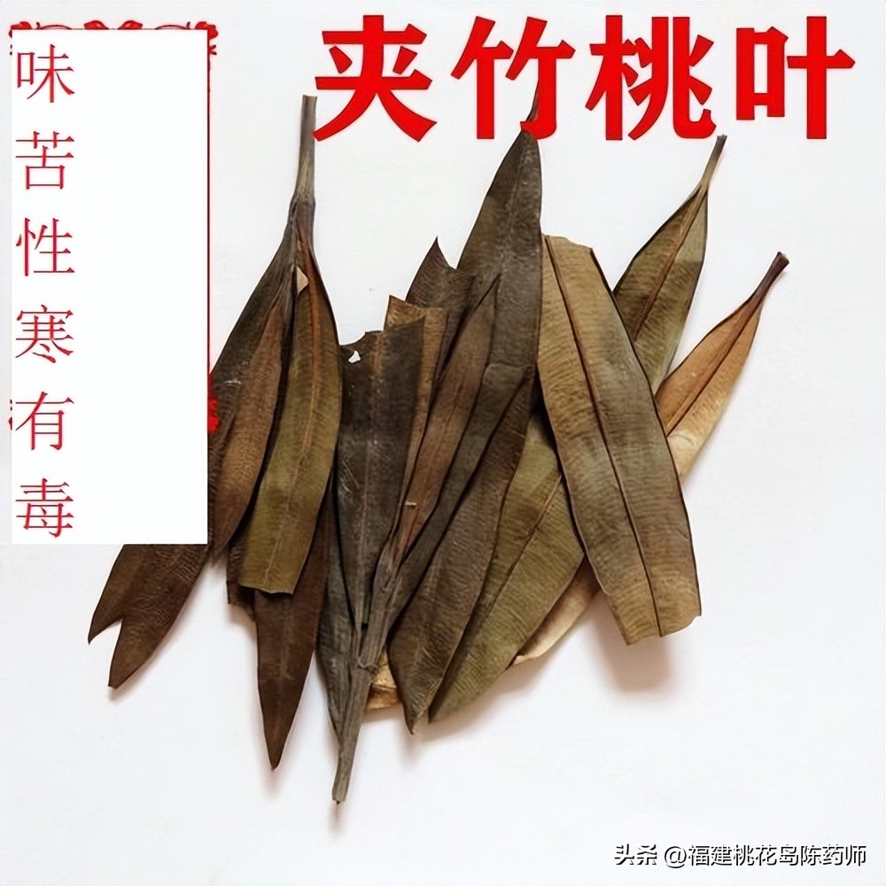 有毒的植物和解毒的草药,植物有毒药材名称大全