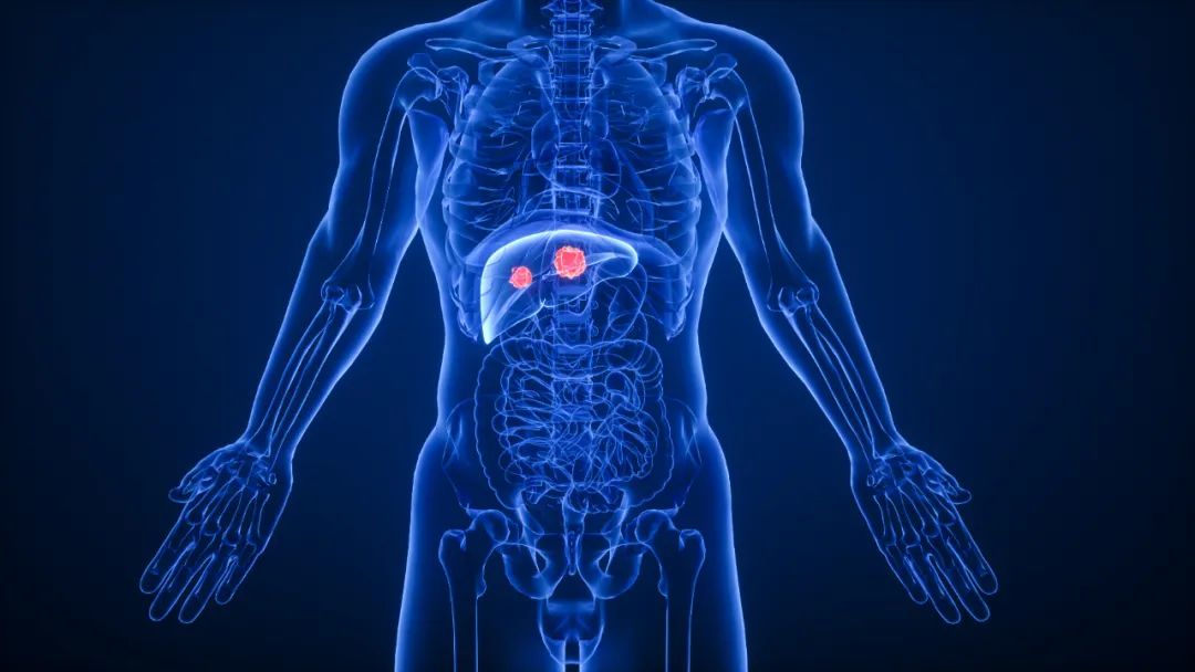 转录因子突变导致的疾病,转录因子对基因活性的影响